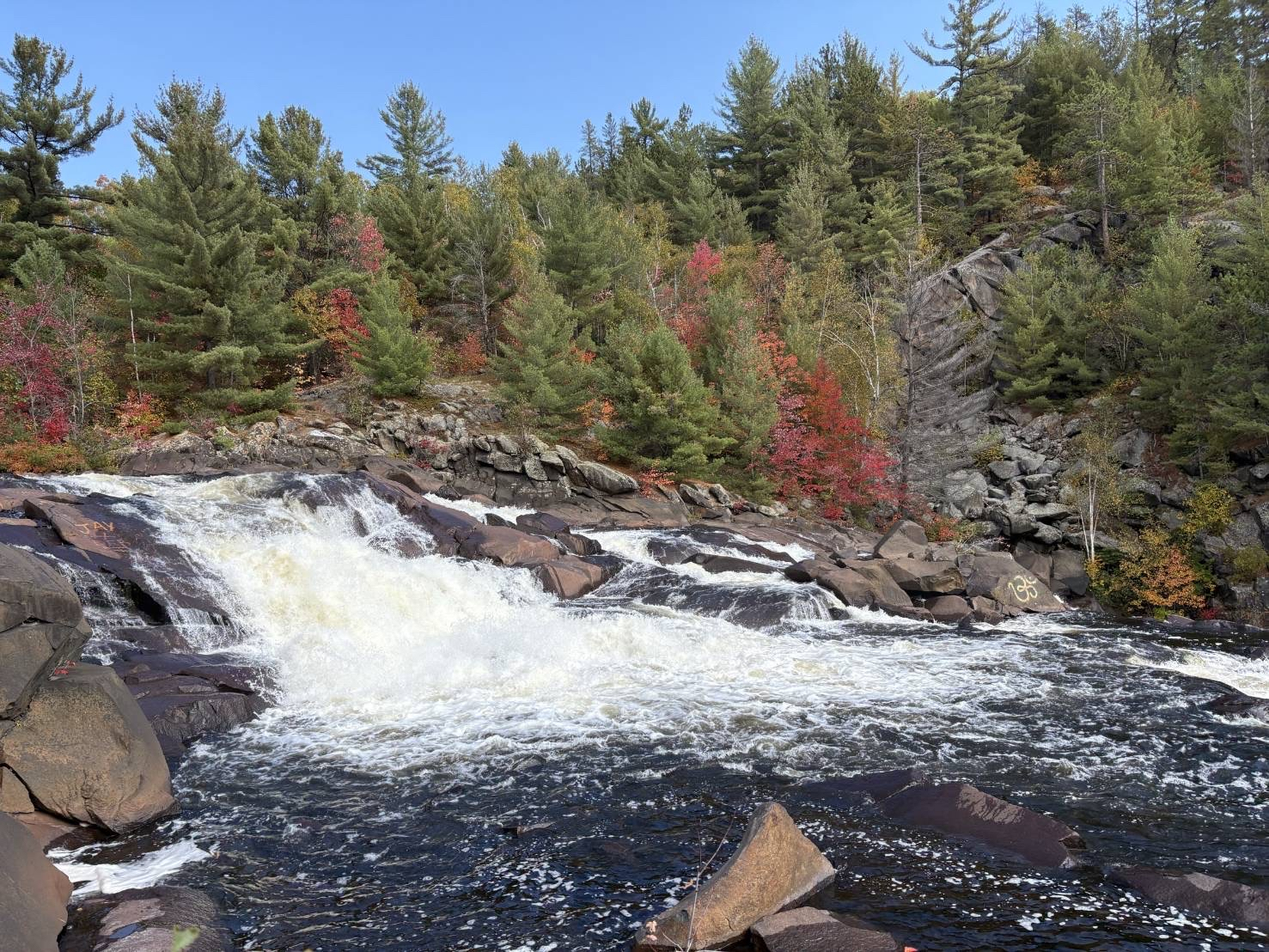 Image - 2025-10-14T161618.332